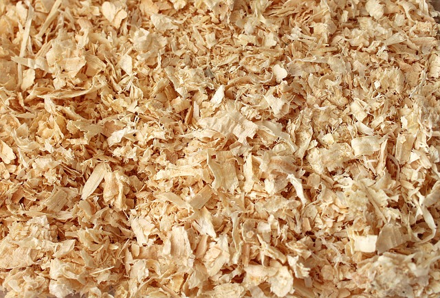 wood dust shavings